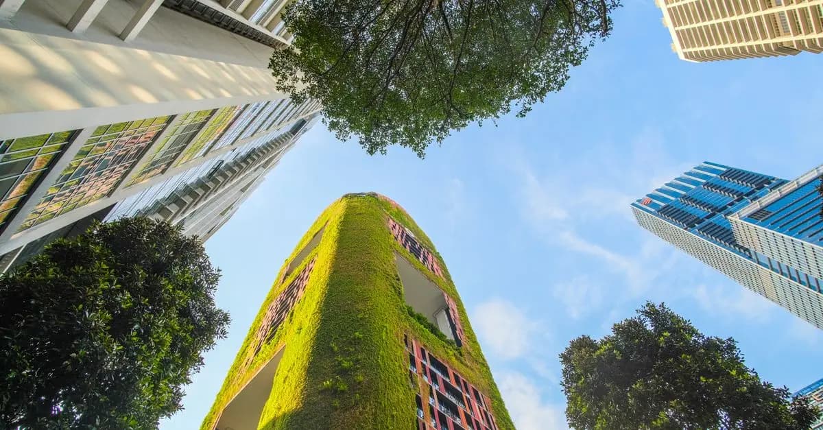Come Le Città Si Adattano al Cambiamento Climatico